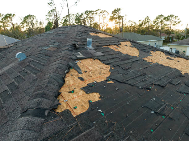 Reliable Durango, CO Roofing Services Solutions